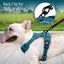PoyPet No Pull Dog Harness, No Choke Reflective Dog Vest (Tumalo Teal,S)