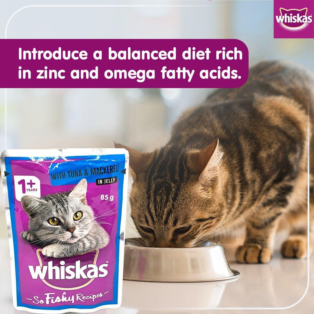 Whiskas So Fishy Ocean Platter in Jelly Adult Cat Wet Food 85g (Pack of 12)