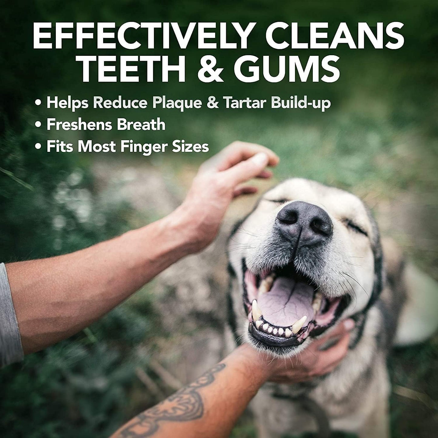 Vet's Best Teeth Finger Pads 50 Pack, Dog Dental Care for Dog Teeth Cleaning