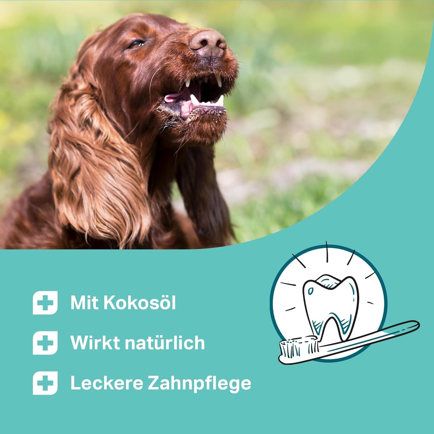 MEDIDOG Dental Pops - 250 g - Natural Dental Care for Dogs - Against Mouth Odour - Teeth Cleaning Without Chemicals