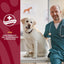 NaturVet CRANBERRY RELIEF + Echinacea Soft Chew Dogs Urinary Tract (CUP) - 60 ct