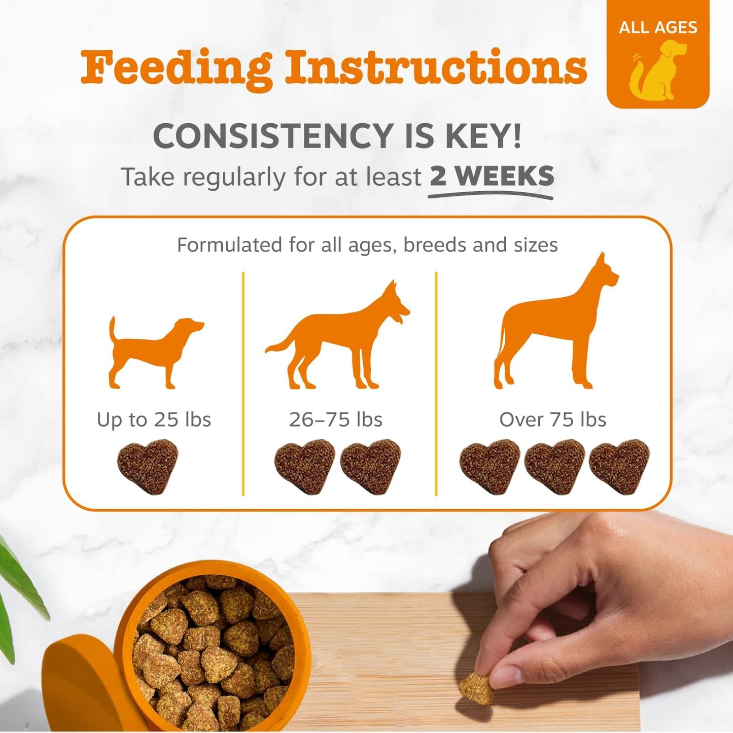Probiotics for Dogs - Probiotics for Gut Flora, Digestive Health, Occasional Diarrhea & Bowel Support