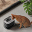 Petlibro Cat Water Fountain