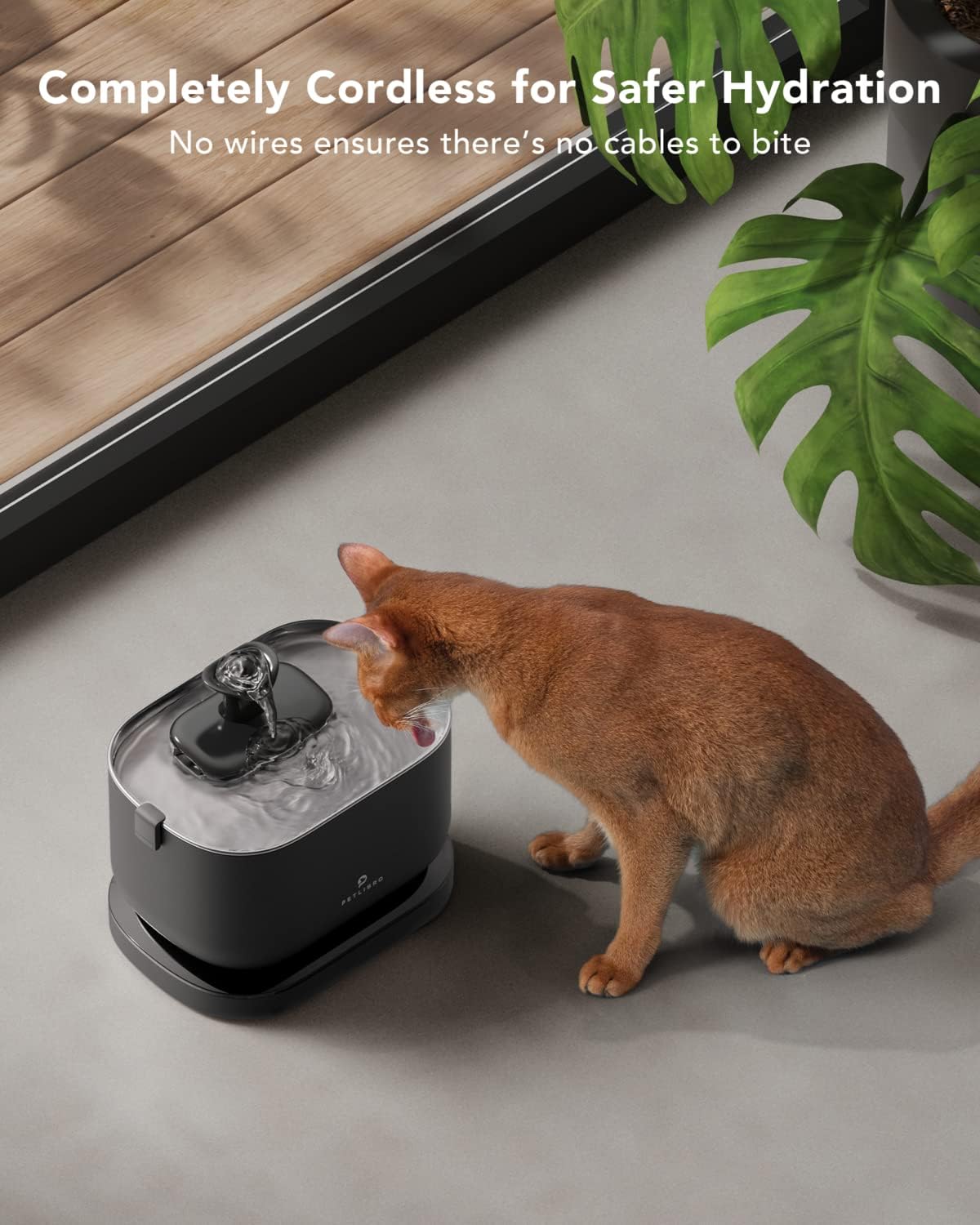 Petlibro Cat Water Fountain
