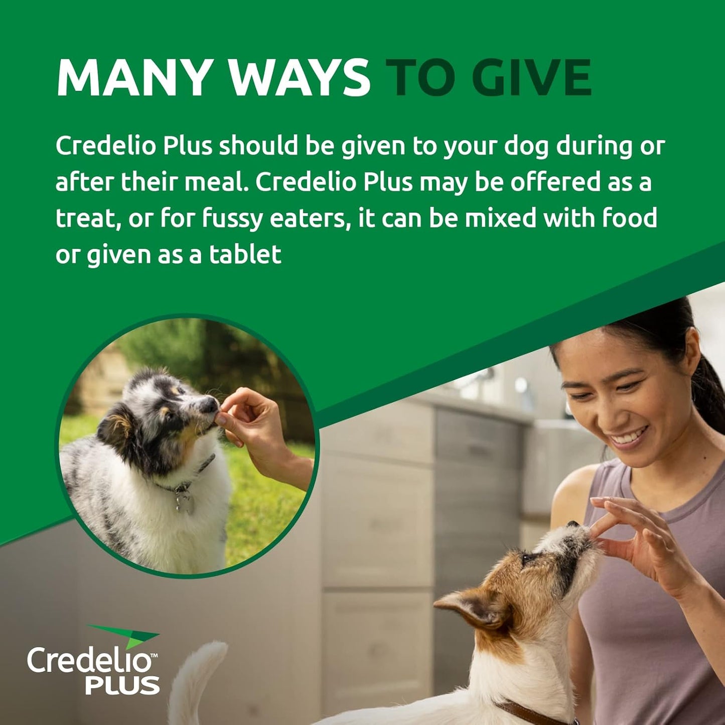 Credelio Plus Ticks, Fleas, Heartworm & Worms for Dogs 22-45kg - 3 Pack