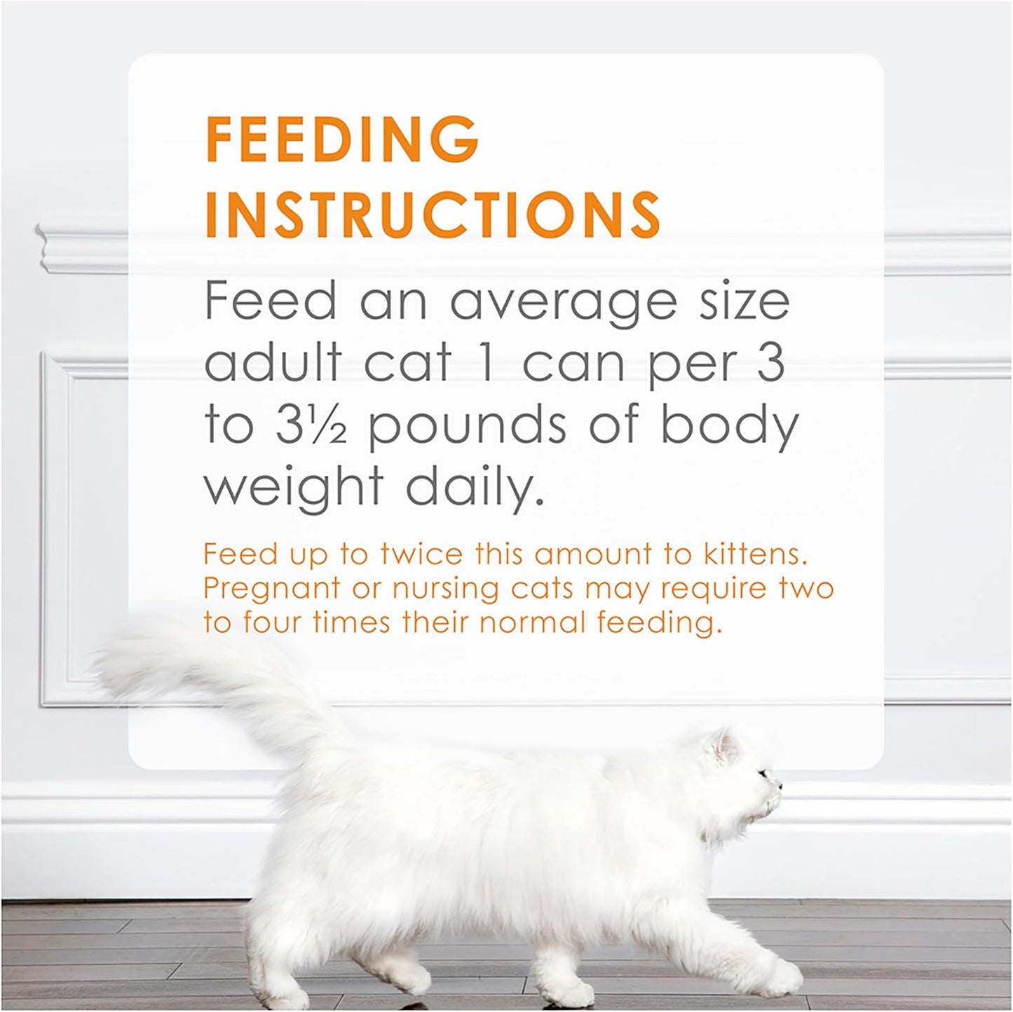 Fancy Feast Poultry and Beef Paté Wet Cat Food, 85 g (Pack of 24)