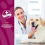 NaturVet Glucosamine DS Plus Level 2 Moderate Joint Care for Dogs and Cats, 70 ct Soft Chews, Made in USA