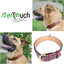 Padded Leather Dog Collar, Large Brown - Genuine Real Leather, 24" Long x 1.5 Wide, Fits Neck Size 18" to 21" Inches