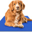 The Green Pet Shop Chillz Gel Mat, Medium - Pressure-Activated Cooling Pad for Pets 0-25 lbs - Non-Toxic, No Water or Refrigeration Needed - Ideal for Home, Travel & Crates