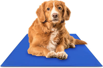 The Green Pet Shop Chillz Gel Mat, Medium - Pressure-Activated Cooling Pad for Pets 0-25 lbs - Non-Toxic, No Water or Refrigeration Needed - Ideal for Home, Travel & Crates