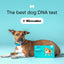 Embark Breed & Health Kit - Dog DNA Test - Discover Breed, Ancestry, Relative Finder, Genetic Health, Traits, Allergy Risk Scores