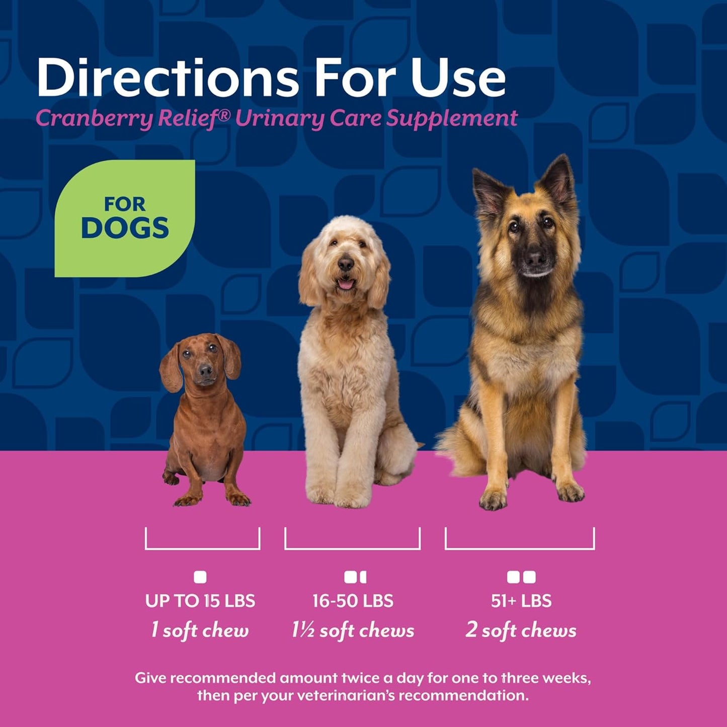 NaturVet Cranberry Relief 120 Count Soft Chew (Jar) with Echinacea for Dogs
