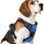 rabbitgoo Dog Harness Medium Sized, No Pull Pet Harness with 3 Buckles, Blue, M