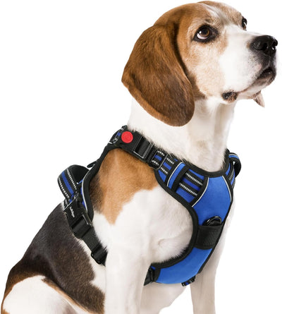 rabbitgoo Dog Harness Medium Sized, No Pull Pet Harness with 3 Buckles, Blue, M