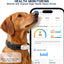 DBDD AI GPS Tracker for Dogs, Real Time Location and AI Health Care Management, Electronic Fence, Waterproof, iOS and Android Compatible (White)