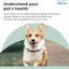 Sensitivity Test - Home Dog Sensitivity Test | 300 Items Checked | Fast 3-5 Day Results | Painless Hair Sample Method | Food, Environment & Additives Analysis