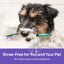 HICC PET Dog Dental Care Spray, Dog Breath Freshener