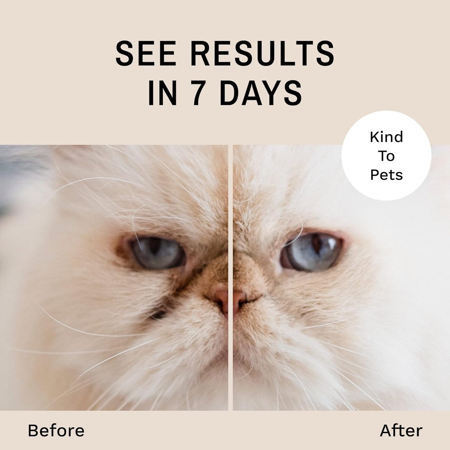 Eye Envy Tear Stain Remover Powder for Dogs and Cats. 100% Natural,Made in The USA (70gm)