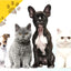 i.Pet 32" Large 8 Panel Pet Dog Playpens Rabbit Play Pen Fence Cage Puppy Exercise