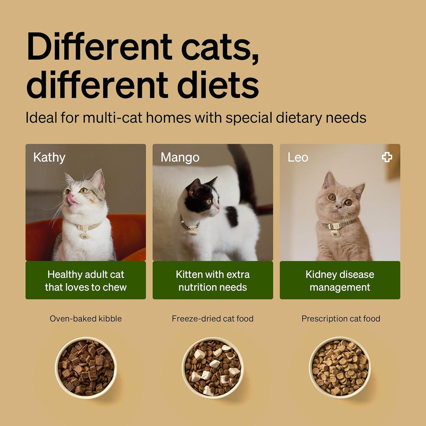 PETLIBRO RFID Automatic Cat Feeder, Collar Sensor for Personalized Meals,BLACK