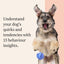 Wisdom Panel Premium: Most Comprehensive Dog DNA Test for 260+ Health Tests |