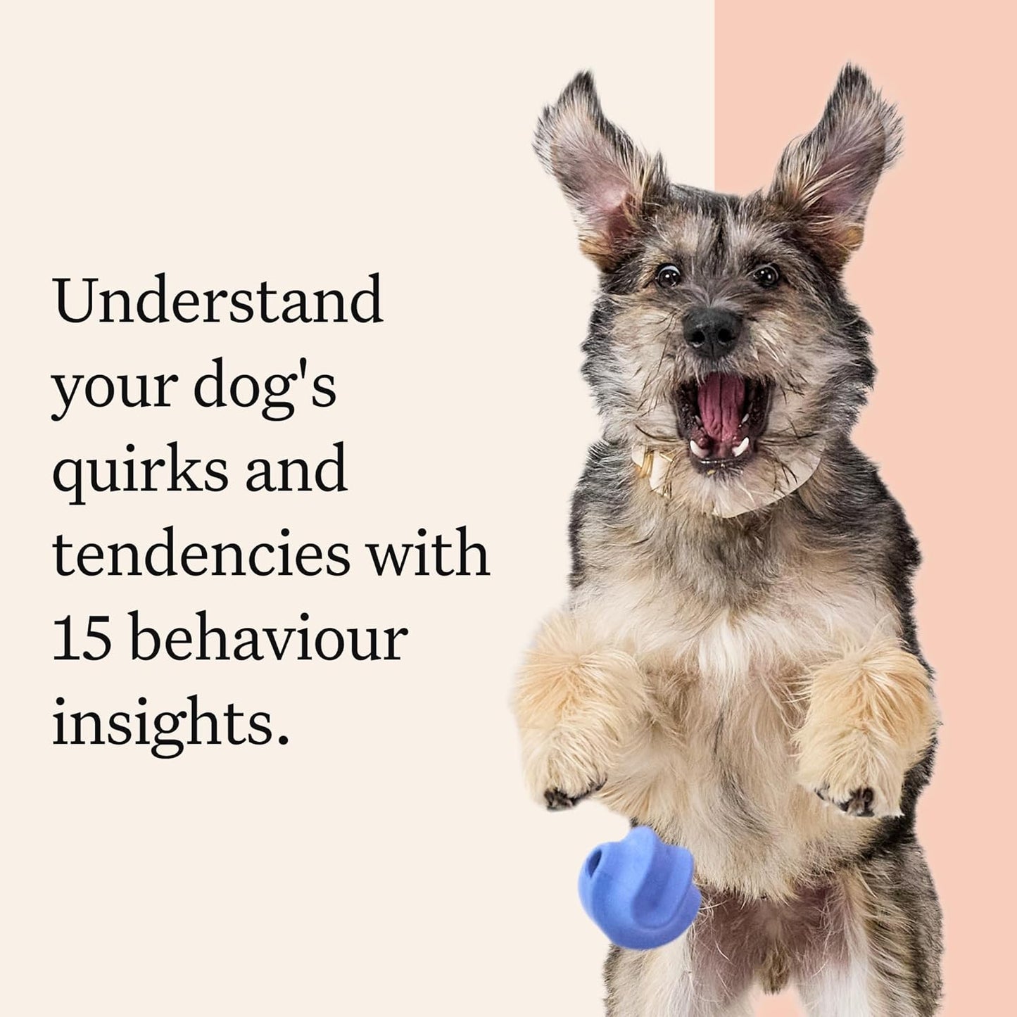 Wisdom Panel Premium: Most Comprehensive Dog DNA Test for 260+ Health Tests |