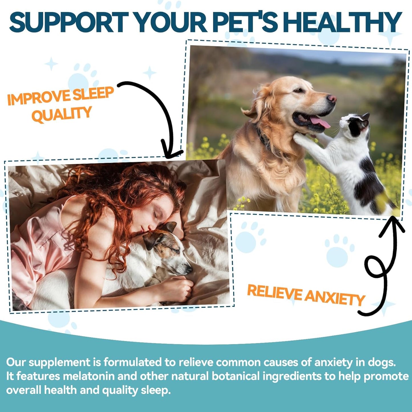 Melatonin for Pets, Dog Melatonin, Dog Sleep Supports, Liquid for Cats, Supports Relaxation Dogs & Cat, Calm Behavior in Dogs, Helps Restful Sleep, Chicken Flavor 60m