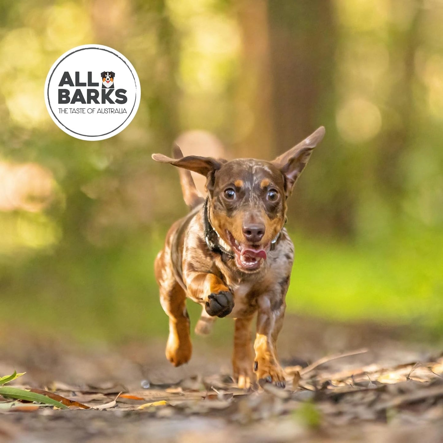 Outback Sticks - 100% Real Aussie Beef - Natural, Grain-Free, Australian Dog Treats - Snacks, Treats & Rewards for Your Dog - 110g - Approx 8 Sticks per Bag