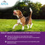 Apex Plus Flea and Tick Prevention for Dogs | Large (45-88 lbs) | 6-Month Supply |
