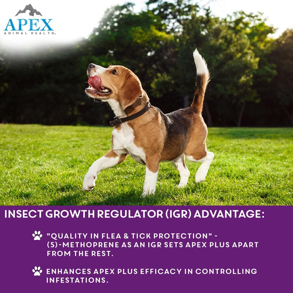 Apex Plus Flea and Tick Prevention for Dogs | Large (45-88 lbs) | 6-Month Supply |
