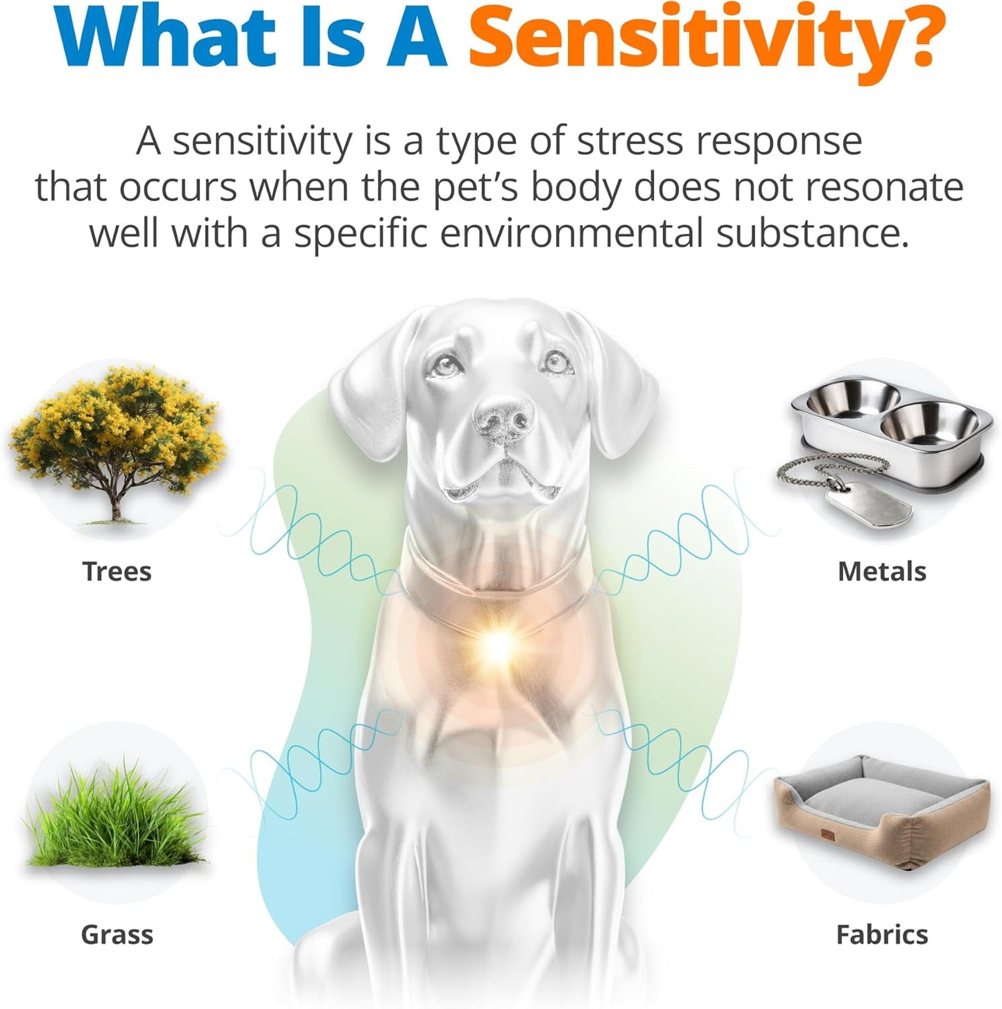5Strands Pet Heavy Metal Sensitivity Test, at Home Hair Sample Test for Dogs and Cats, Identify Environmental Exposures, Create a Proactive Elimination Plan, Results in 4 Days
