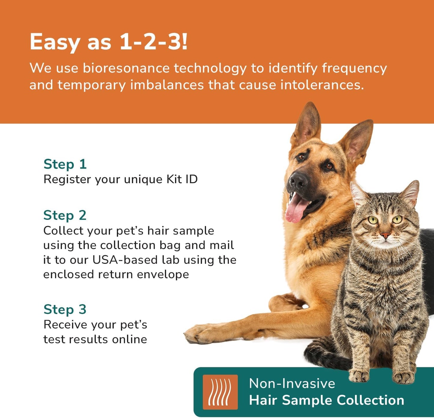 TotalVet Dog Allergy +1000 Food & Nutritional Sensitivity Test, Pet Intolerance Kit at Home