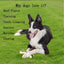 Dog Chew Toys for Aggressive Chewers Large Breed,2 Pack Beef Flavor
