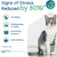 Virbac Zenifel Gel Diffuser for Managing Stress-Related Behaviors in Kittens & Cats - No Electricity Needed - Lasts Up to 2 Months - 1 Diffuser