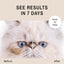 Eye Envy Tear Stain Remover Solution for Cats|100% Natural and Safe|Recommended by Breeders/vets/cat fanciers/Groomers|Contains colloidal Silver, 2oz
