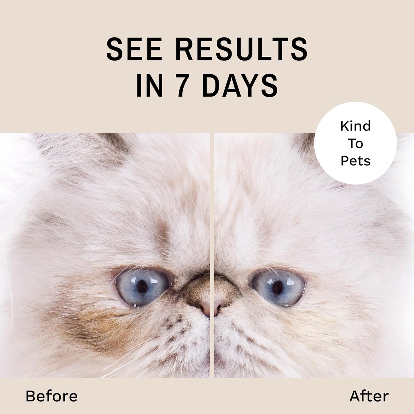 Eye Envy Tear Stain Remover Solution for Cats|100% Natural and Safe|Recommended by Breeders/vets/cat fanciers/Groomers|Contains colloidal Silver, 2oz
