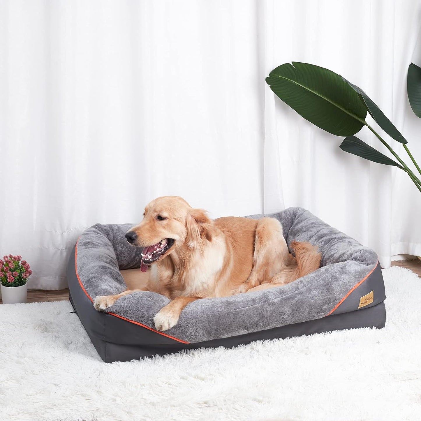 X-Large Memory Foam Dog Bed: Orthopedic Waterproof Pet Sofa Beds Washable XL