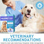 Dog Pregnancy Test Kit – Quick & Easy Detection Strips for Dogs & Cats