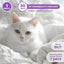 Beloved Pets Cat Calming Diffuser & Pet Anti Anxiety Products - Feline Calm Pheromones Plug in & Cats Stress Relief (2 Diffusers + 2 Refills))