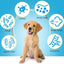 Oimmal Natural Herbal Cough Drops for Dogs - Kennel Cough Relief & Respiratory Support
