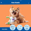 Barkbox Koa Koala Plush Dog Toy - Green Blue Australian Koala Squeaky Soft Dog Toy for All Dog Sizes