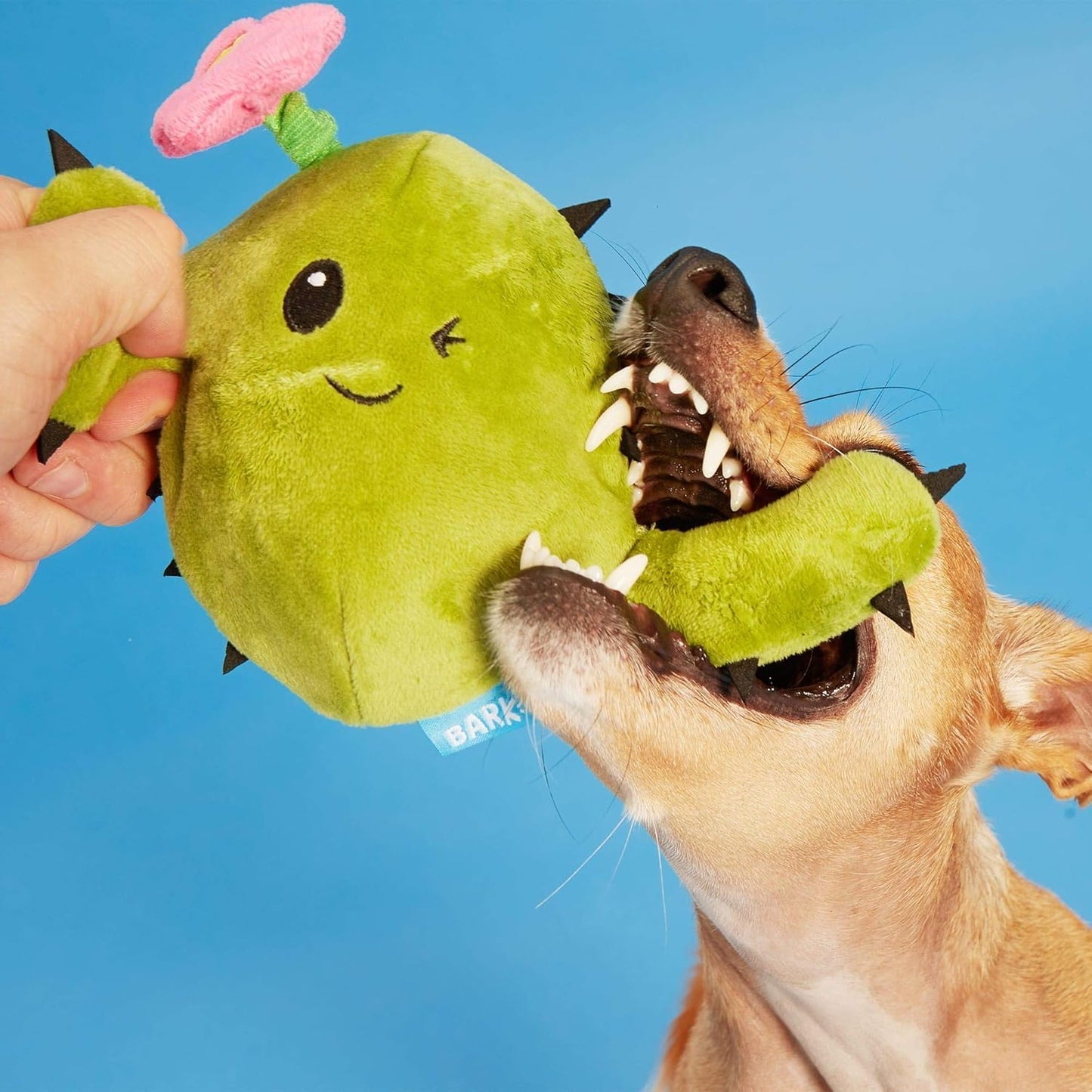 Bark Consuela The Cactus Plush Dog Toy – Rip & Reveal Squeaky Cactus for All Dogs