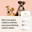 Wisdom Panel Premium: Most Comprehensive Dog DNA Test for 260+ Health Tests |