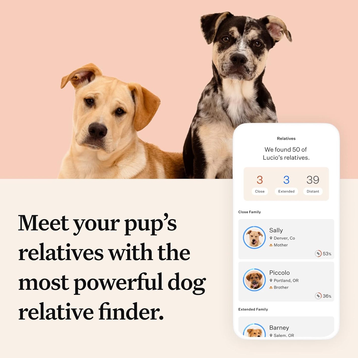 Wisdom Panel Premium: Most Comprehensive Dog DNA Test for 260+ Health Tests |