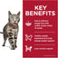 Hill's Science Diet Adult Wet Cat Food, Perfect Weight Chicken, 85g, 12 Pack, Cat Food Pouches
