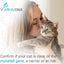 PKD DNA Test for Cats | Home Sample Collection Kit for 1 Feline | Polycystic Kidney Disease Testing | | Just Swab & Send a DNA Sample | Get Your Report in Just 12 Working Days