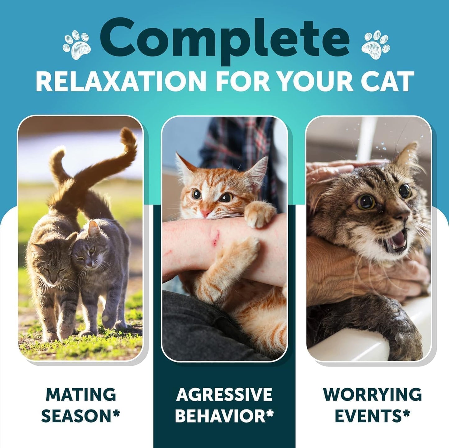 Calming Support Chews for Dogs & Cats – Reduce Anxiety, Stress Relief & Relaxation (Chicken Flavor)