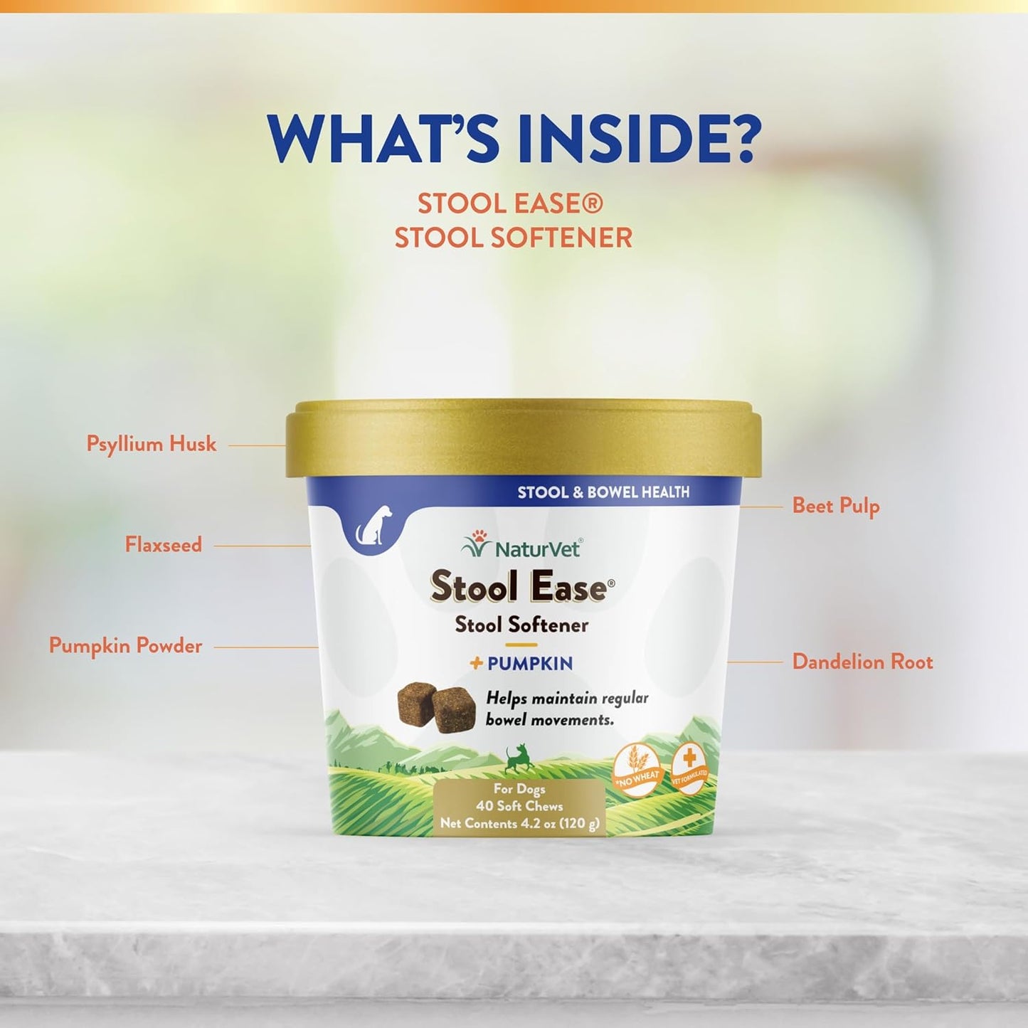 NaturVet Stool Ease Stool Softener for Dogs, 40 ct Soft Chews, Made in USA