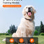 Bousnic Dog Shock Collar - 3300Ft Dog Training Collar with Remote for 5-120lbs Small Medium Large Dogs Rechargeable Waterproof e Collar with Beep (1-8), Vibration(1-16), Safe Shock(1-99) (Orange)
