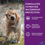 Apex Plus Flea and Tick Prevention for Dogs | Large (45-88 lbs) | 6-Month Supply |